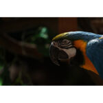 Canon EOS R5 - Imagen 9